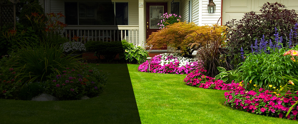 Von Ormy Landscapers