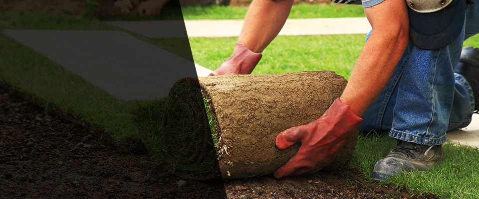 Von Ormy Landscapers